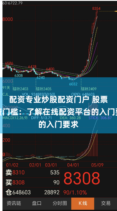 配资专业炒股配资门户 股票配资门槛：了解在线配资平台的入门要求
