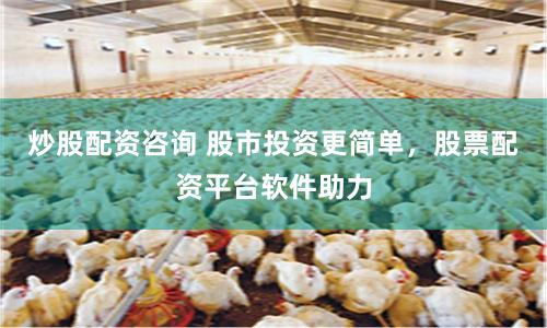 炒股配资咨询 股市投资更简单，股票配资平台软件助力