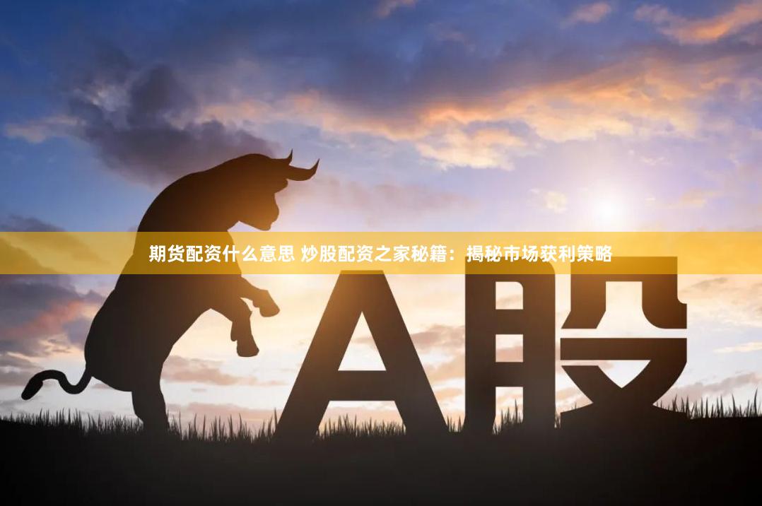期货配资什么意思 炒股配资之家秘籍：揭秘市场获利策略