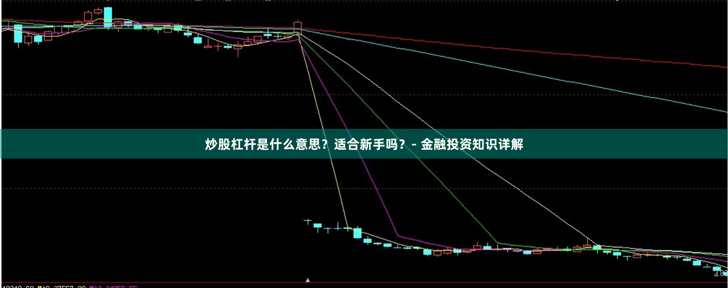 炒股杠杆是什么意思？适合新手吗？- 金融投资知识详解