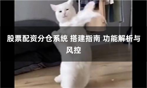 股票配资分仓系统 搭建指南 功能解析与风控